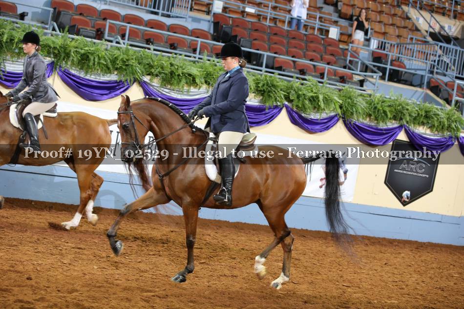 Proof 19YN_02529
