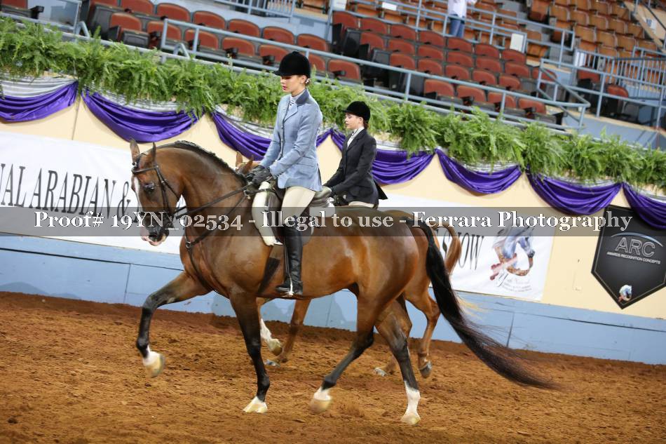 Proof 19YN_02534