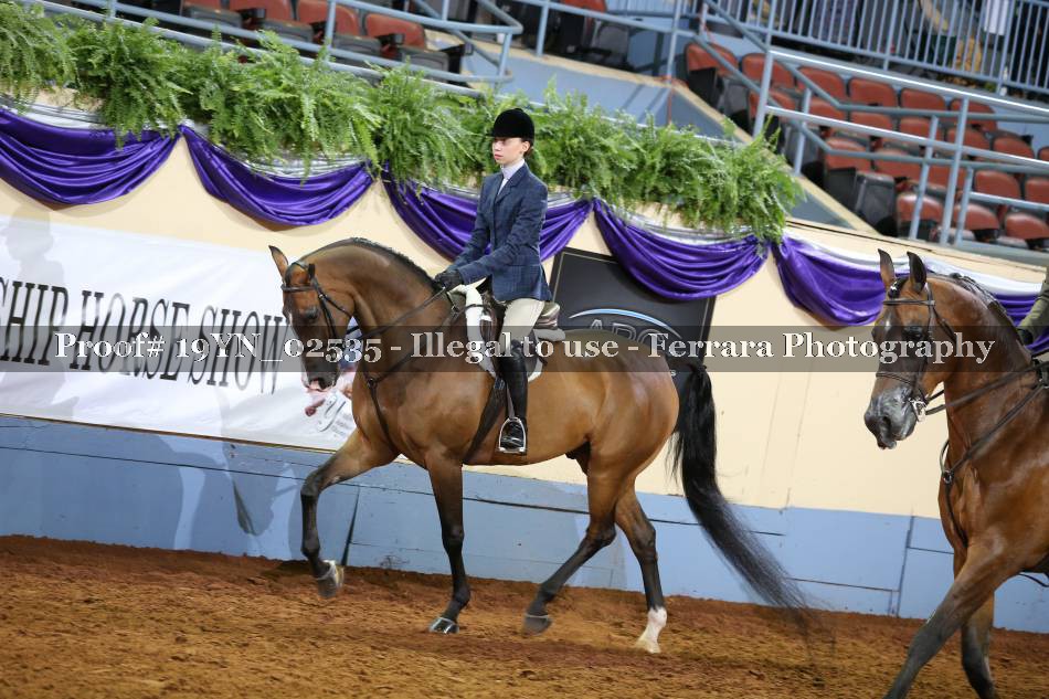 Proof 19YN_02535
