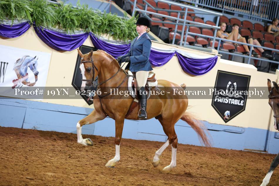 Proof 19YN_02536