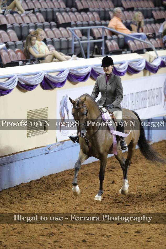 Proof 19YN_02538
