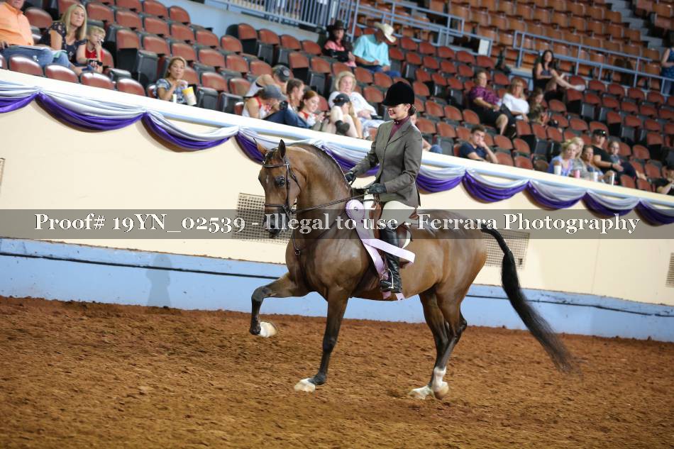 Proof 19YN_02539