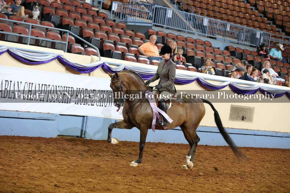 Proof 19YN_02540