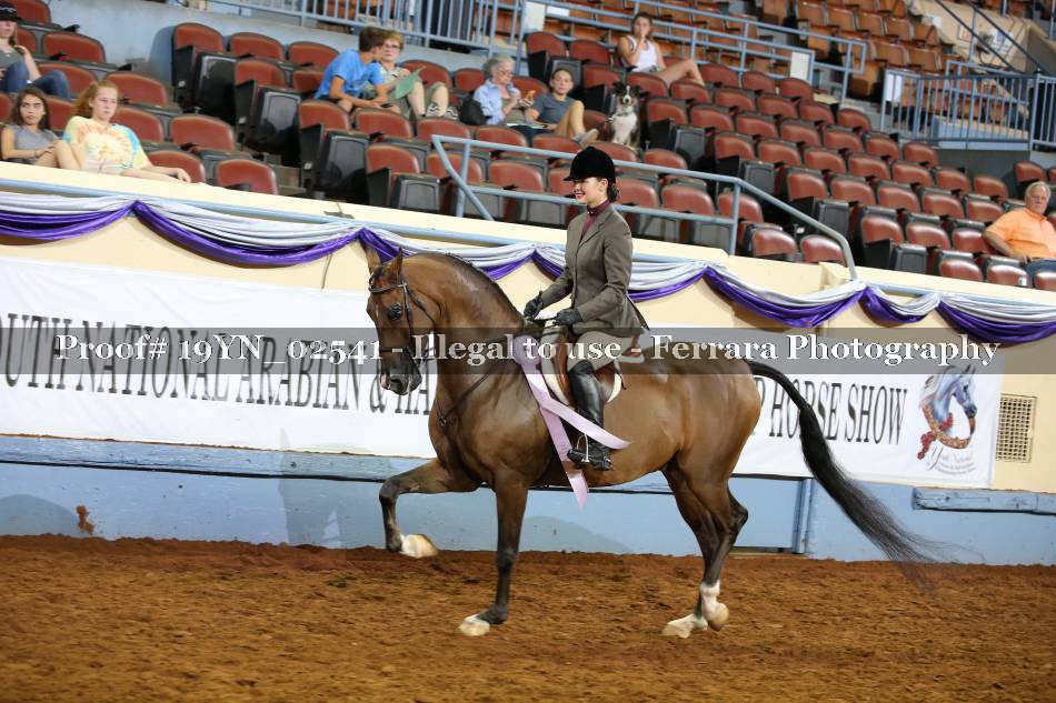 Proof 19YN_02541