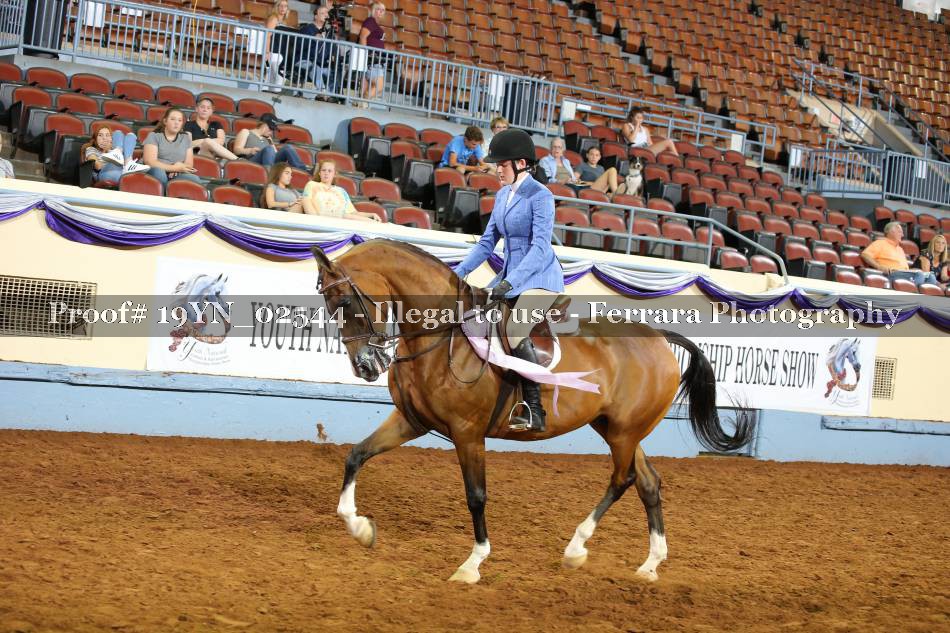 Proof 19YN_02544