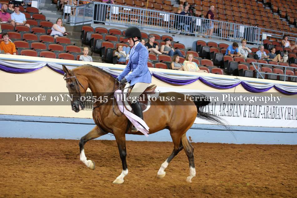 Proof 19YN_02545