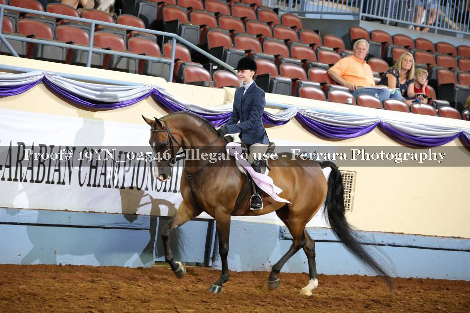 Proof 19YN_02546