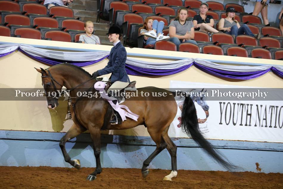 Proof 19YN_02547