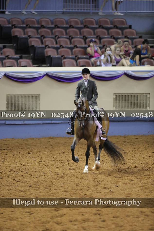 Proof 19YN_02548