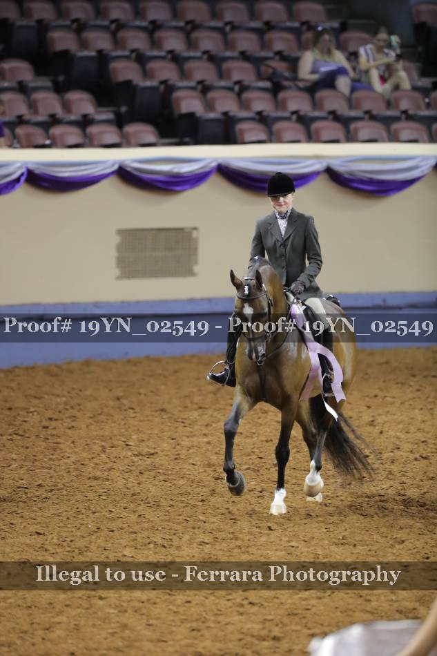 Proof 19YN_02549