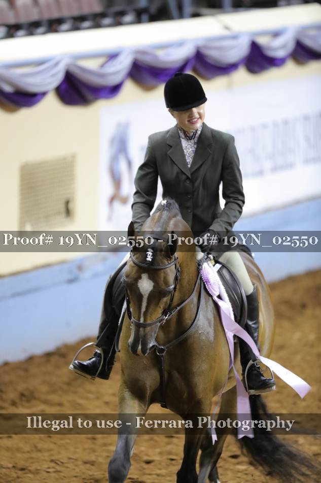 Proof 19YN_02550
