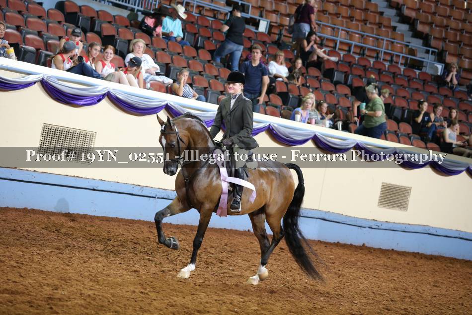 Proof 19YN_02551