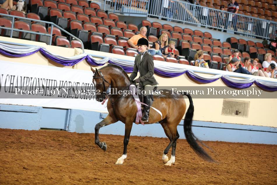 Proof 19YN_02552
