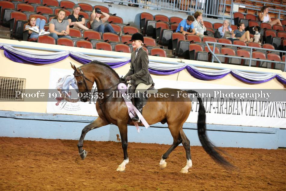 Proof 19YN_02553
