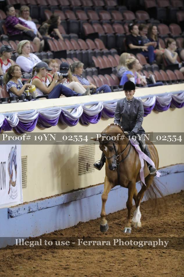 Proof 19YN_02554