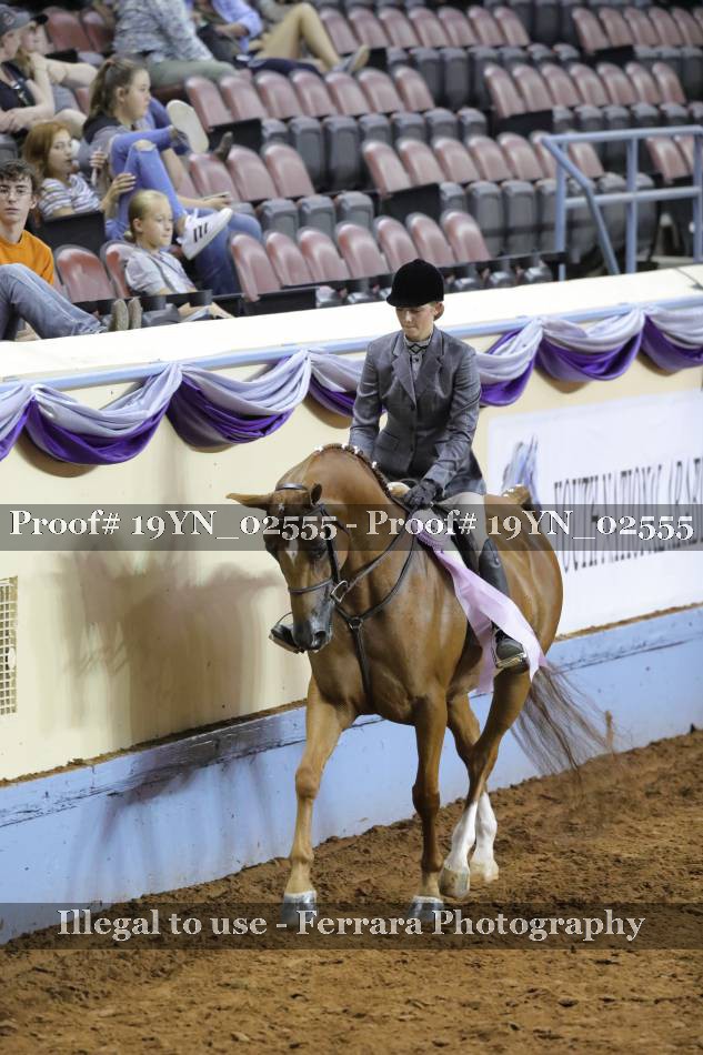 Proof 19YN_02555