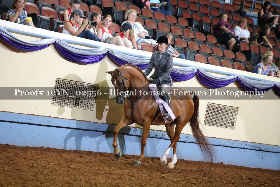 Proof 19YN_02556