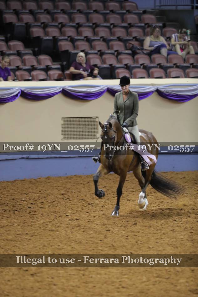 Proof 19YN_02557