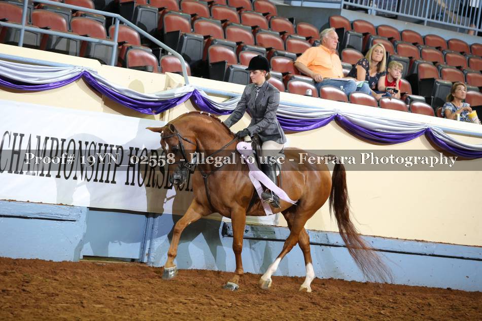 Proof 19YN_02558