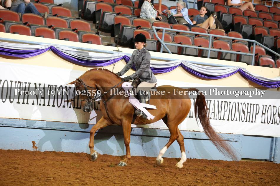 Proof 19YN_02559