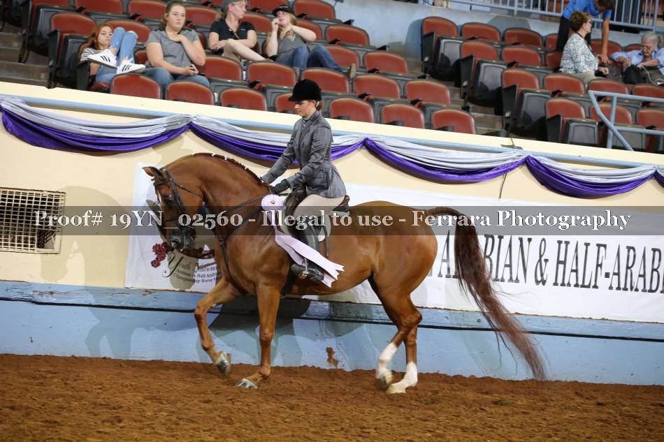 Proof 19YN_02560