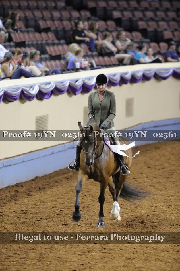 Proof 19YN_02561