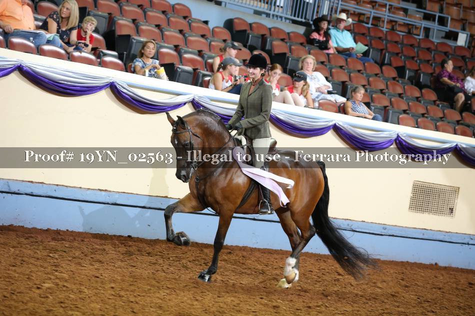 Proof 19YN_02563