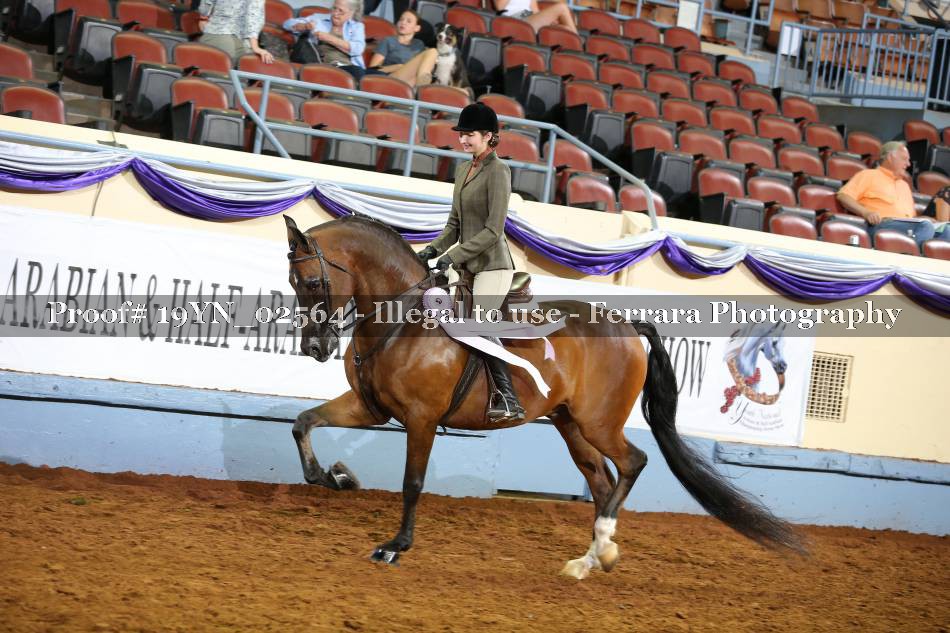 Proof 19YN_02564