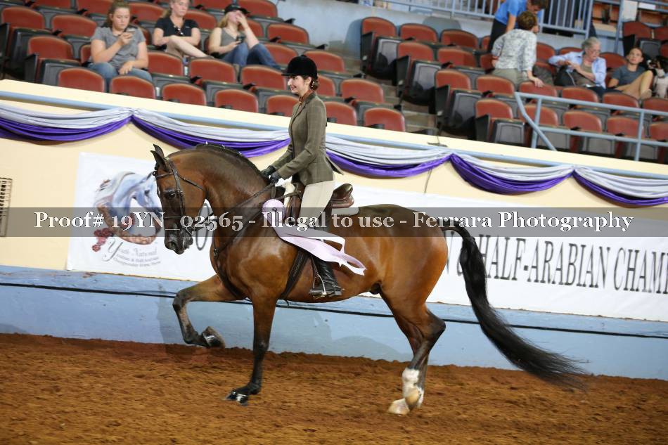 Proof 19YN_02565