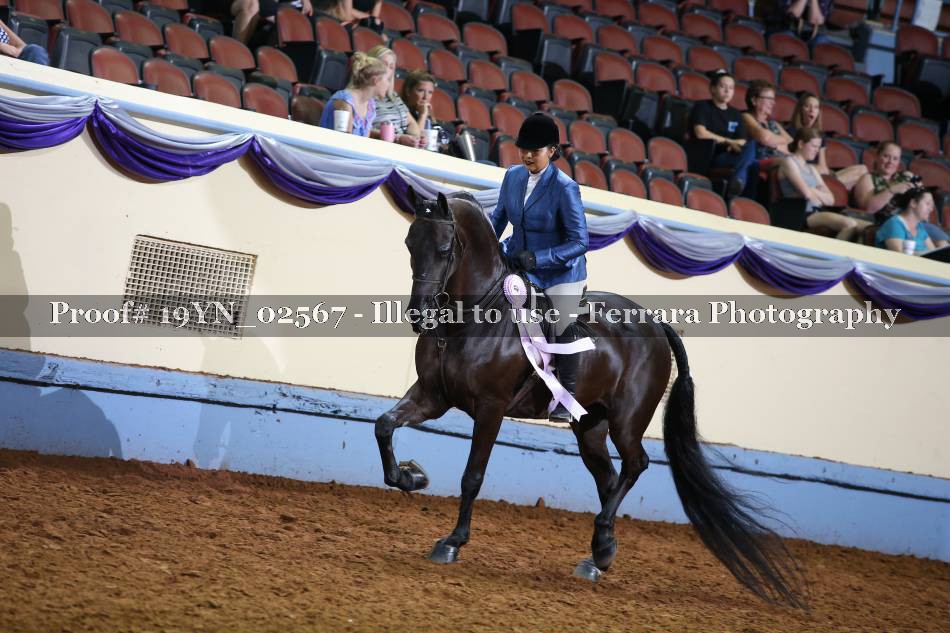 Proof 19YN_02567
