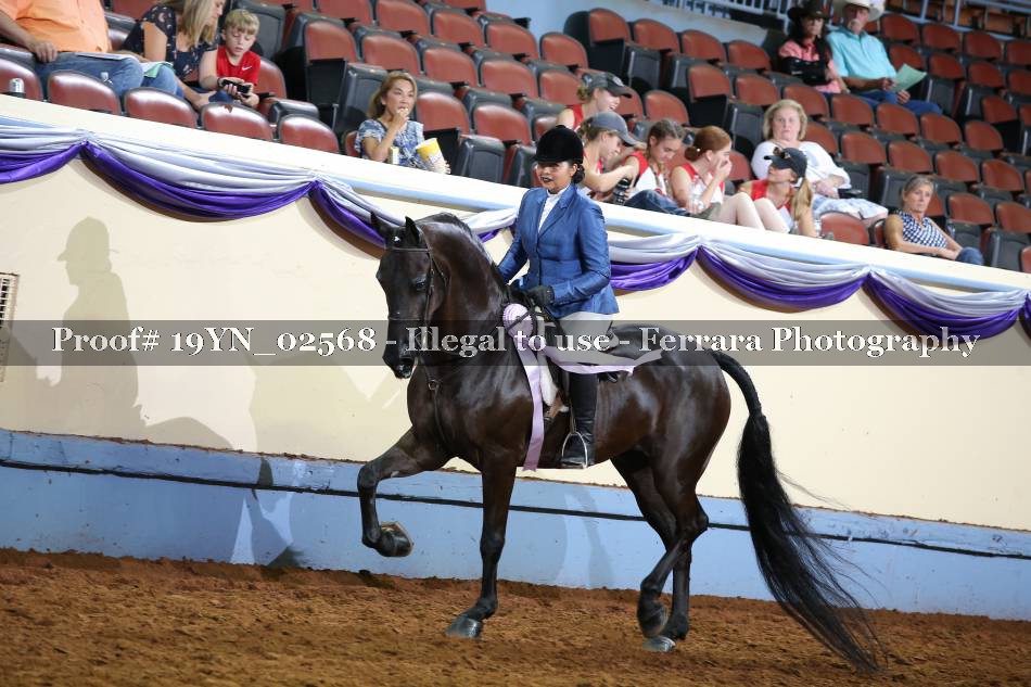 Proof 19YN_02568