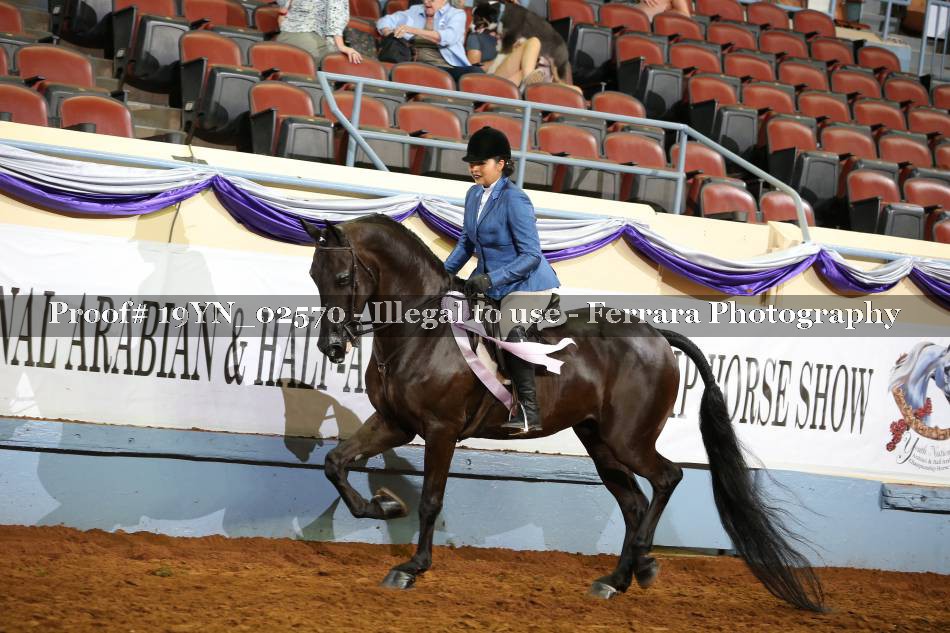 Proof 19YN_02570