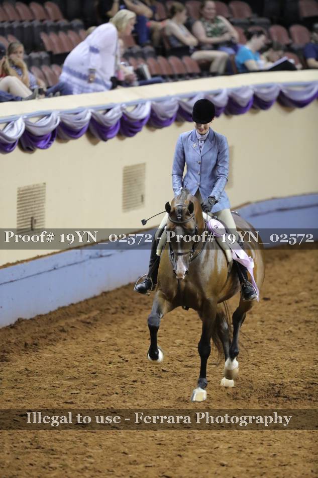 Proof 19YN_02572