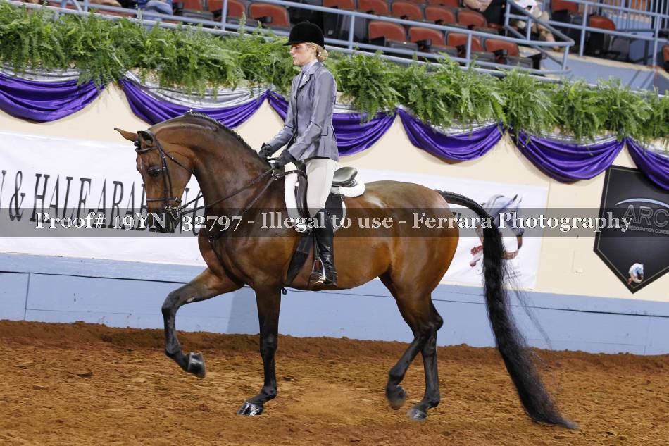 Proof 19YN_32797