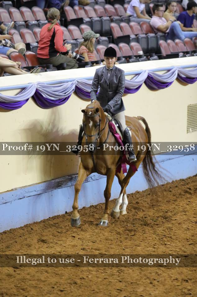 Proof 19YN_32958