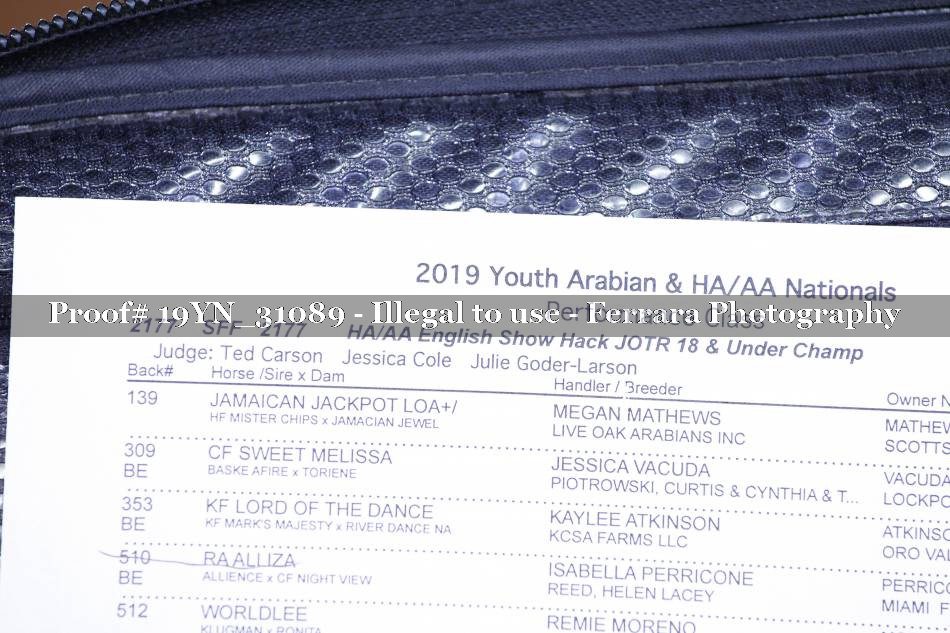 Proof 19YN_31089
