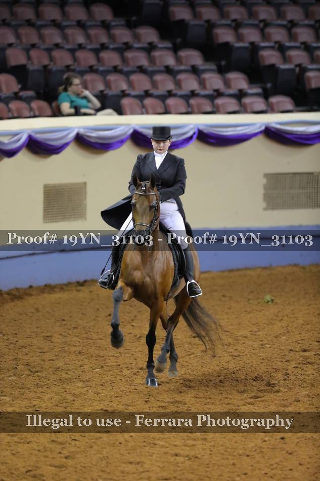 Proof 19YN_31103