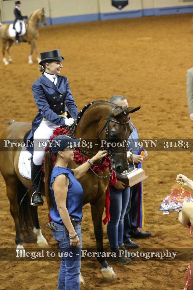 Proof 19YN_31183