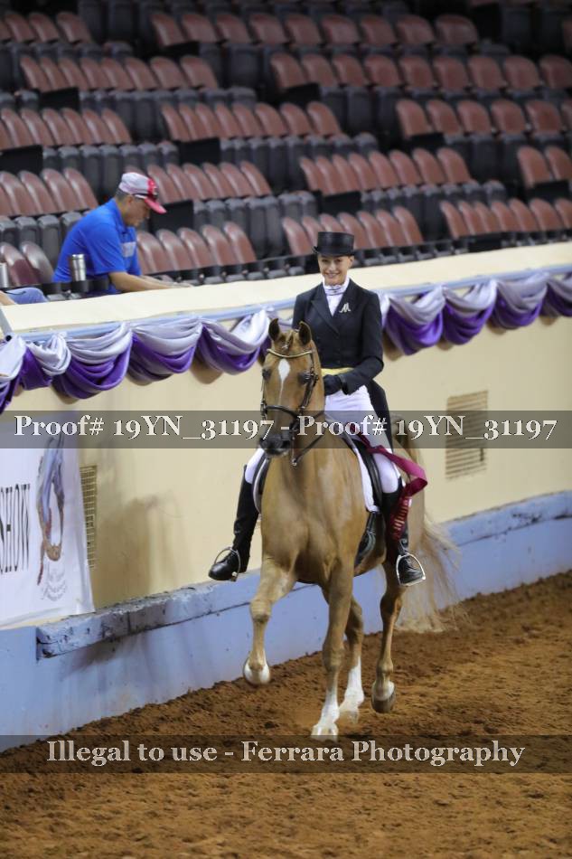 Proof 19YN_31197