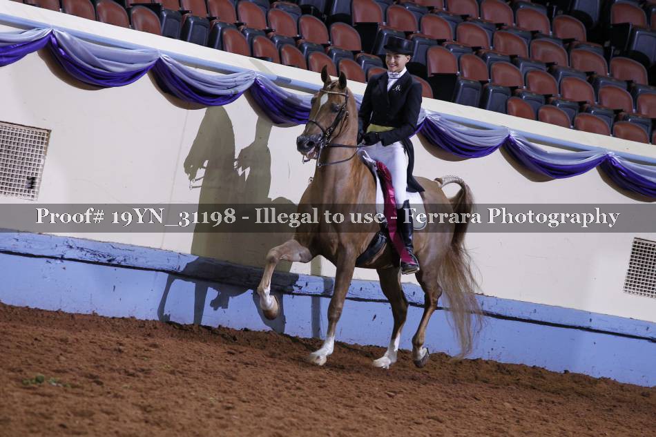 Proof 19YN_31198