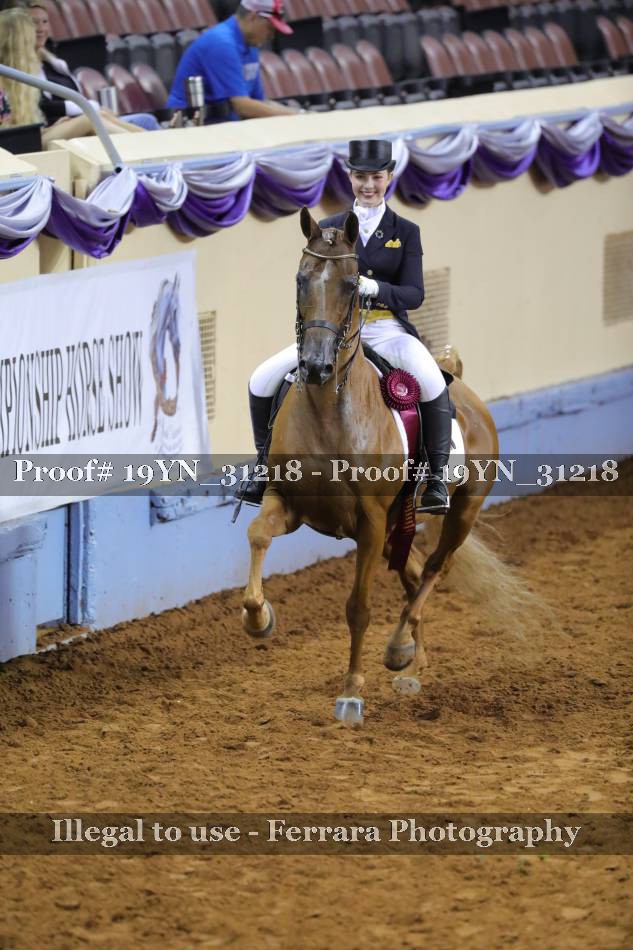 Proof 19YN_31218