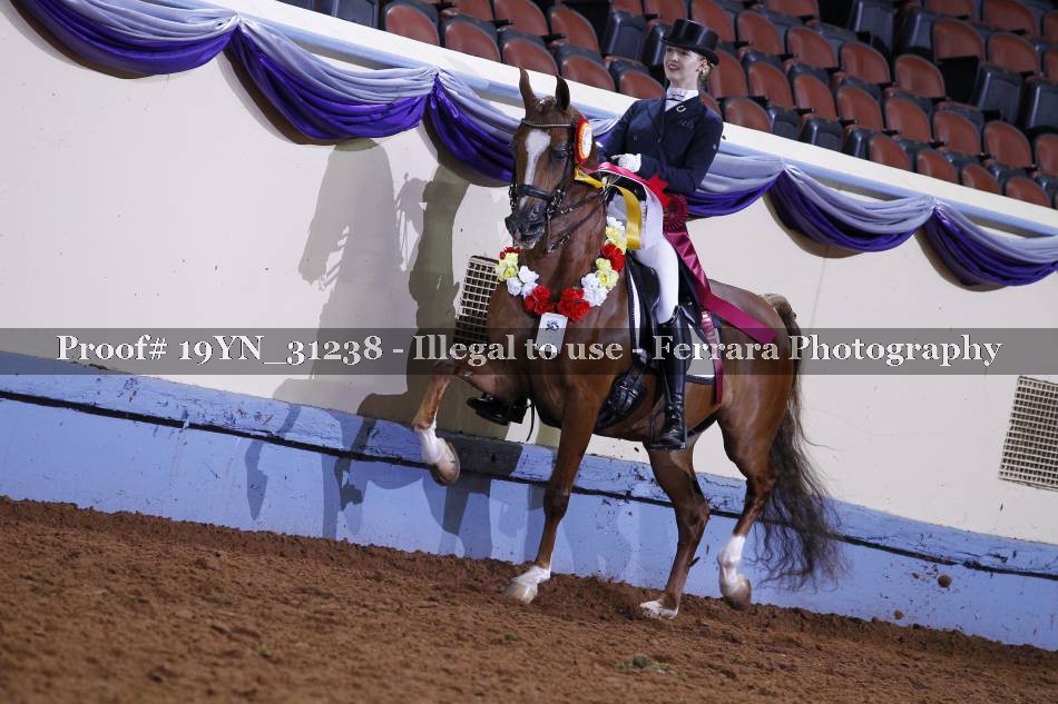Proof 19YN_31238