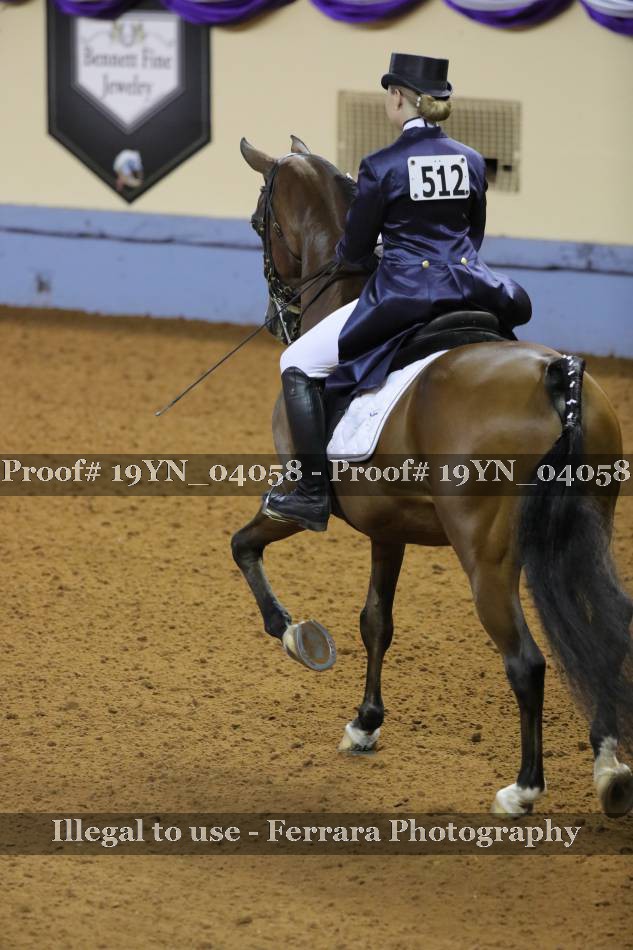 Proof 19YN_04058