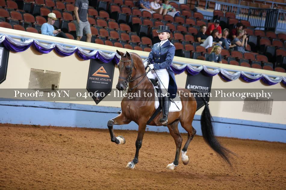 Proof 19YN_04060
