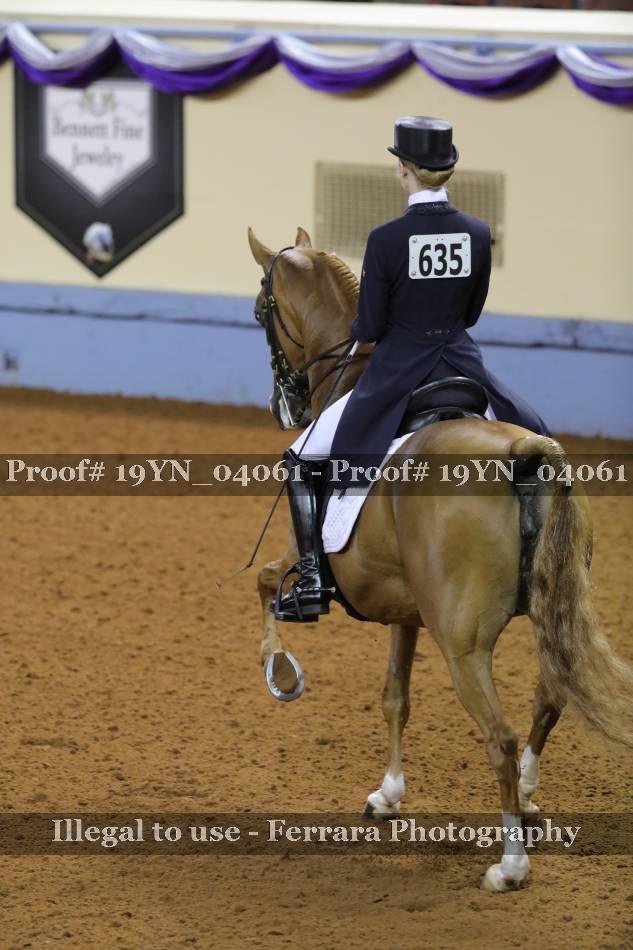 Proof 19YN_04061