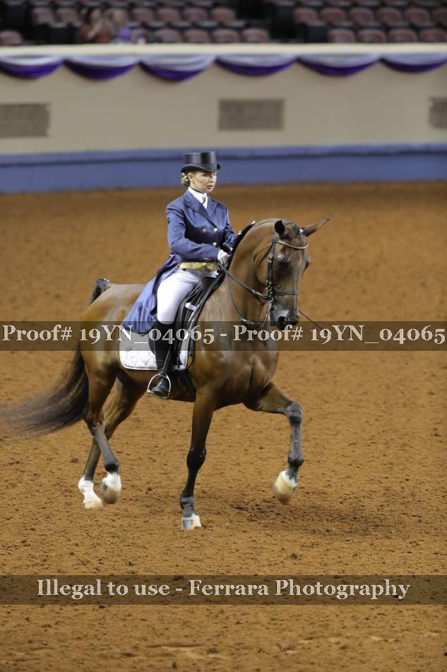 Proof 19YN_04065