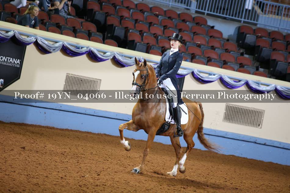 Proof 19YN_04066