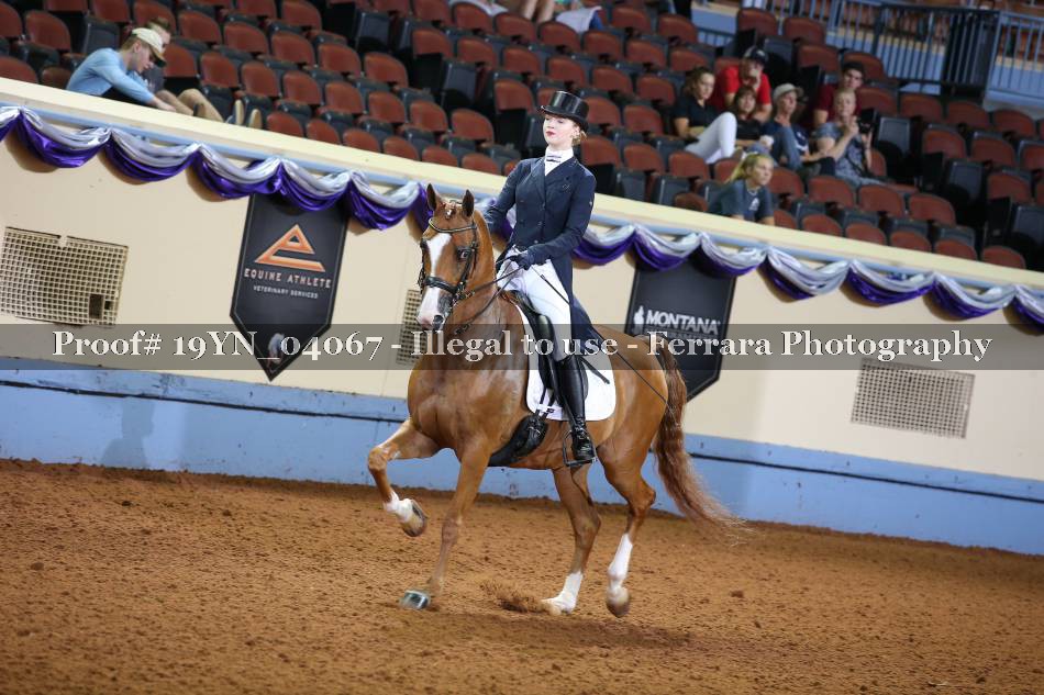 Proof 19YN_04067