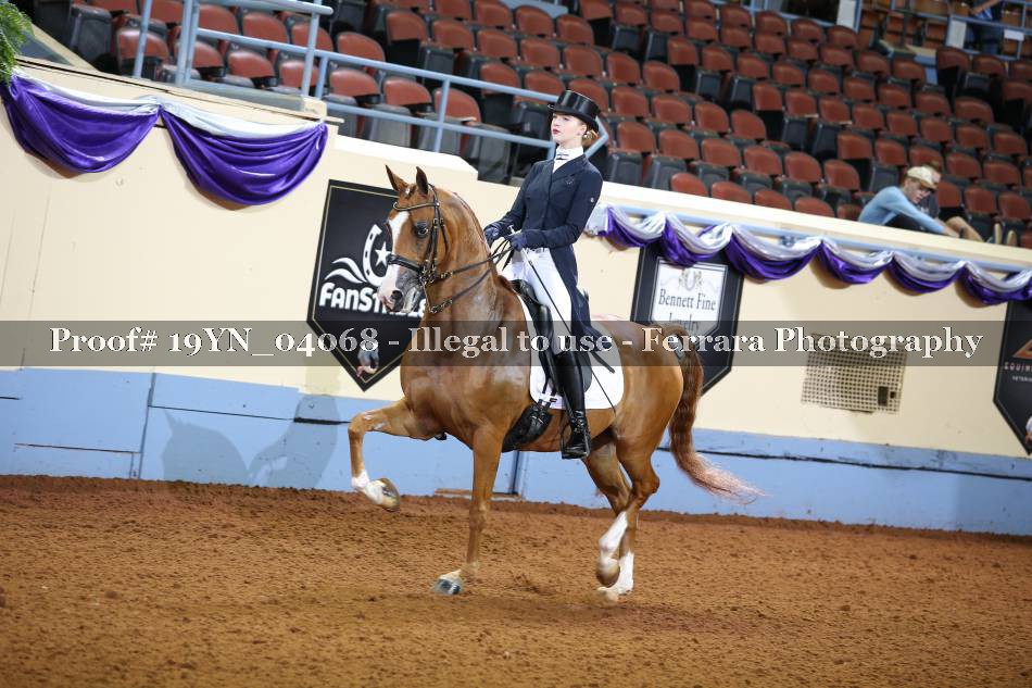 Proof 19YN_04068