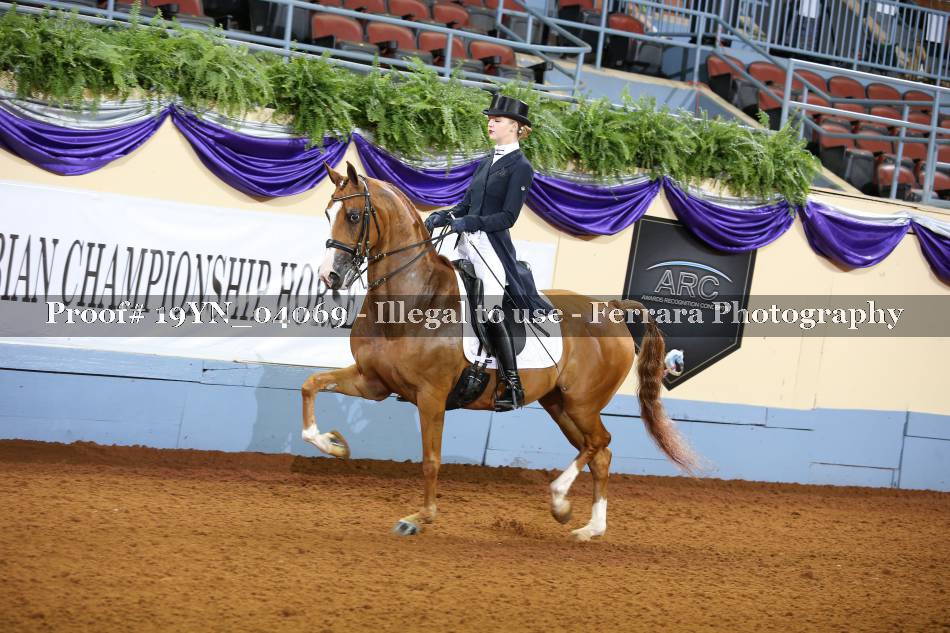 Proof 19YN_04069